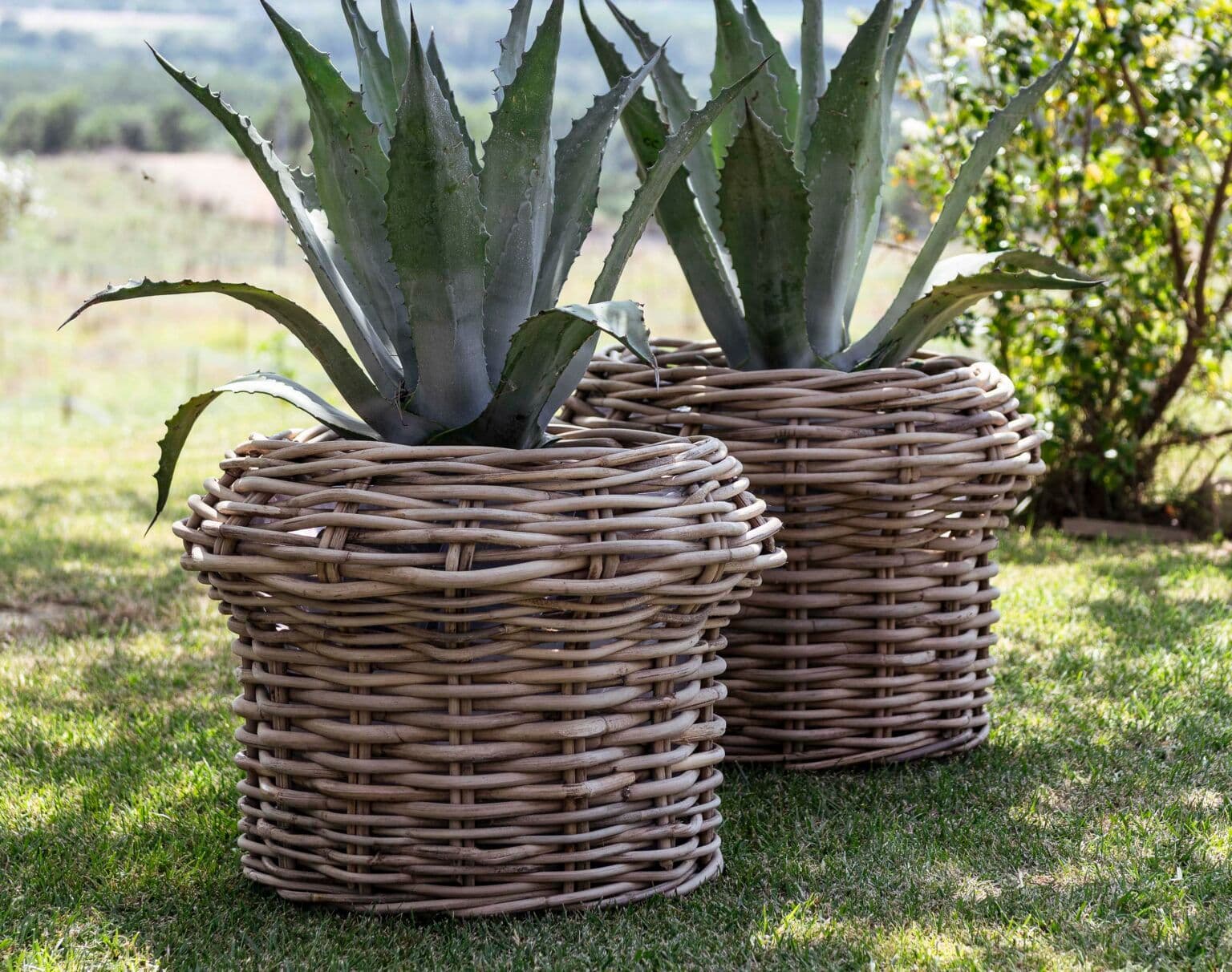 Gommaire-decoration-rattan-accessories-planter_basket_hendrik-G526S-CLR-Belgium-1536x1212.jpg