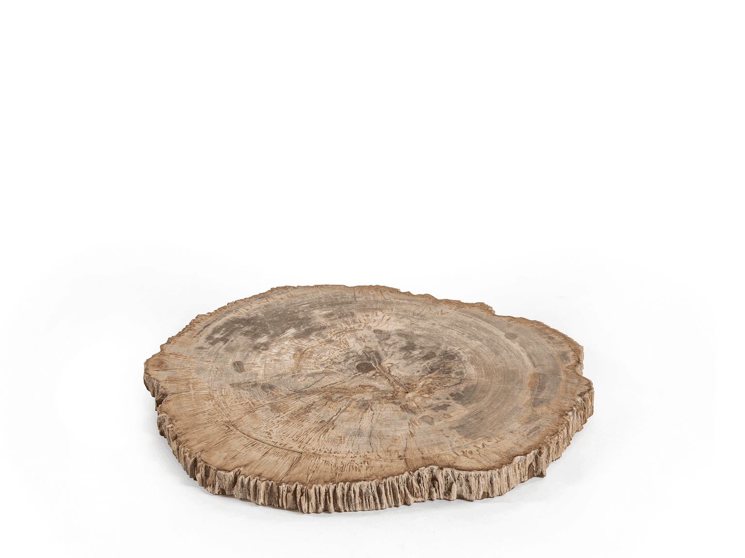 Gommaire-decoration-wood-accessories-plate_petri_white-G637-WHI-Antwerpen.png